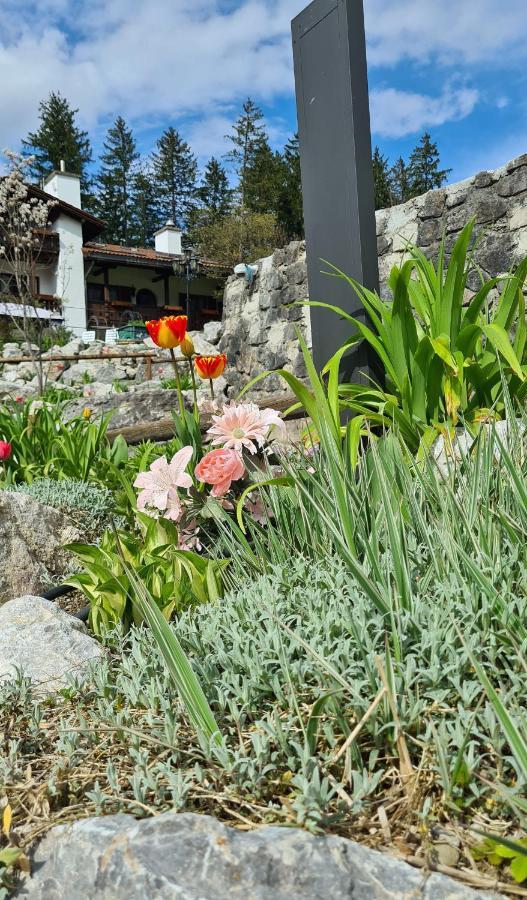 Alpenchalet Zum Jeremia Grainau Kültér fotó